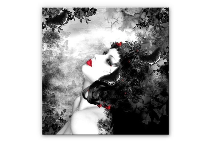 Tableau Forex - Image de papillon noir