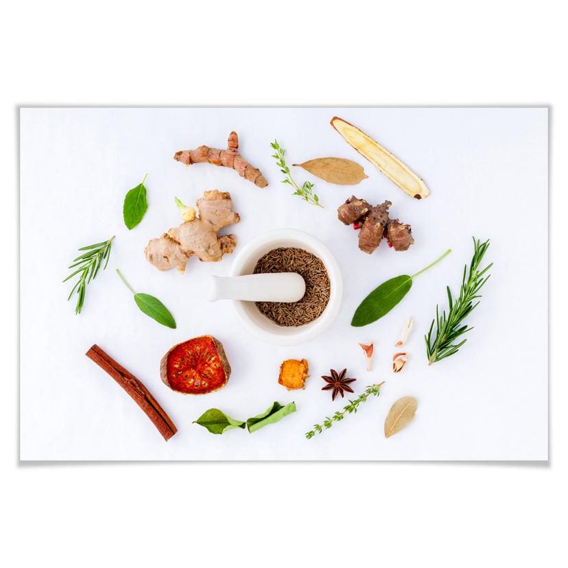Poster - Herbes aromatiques