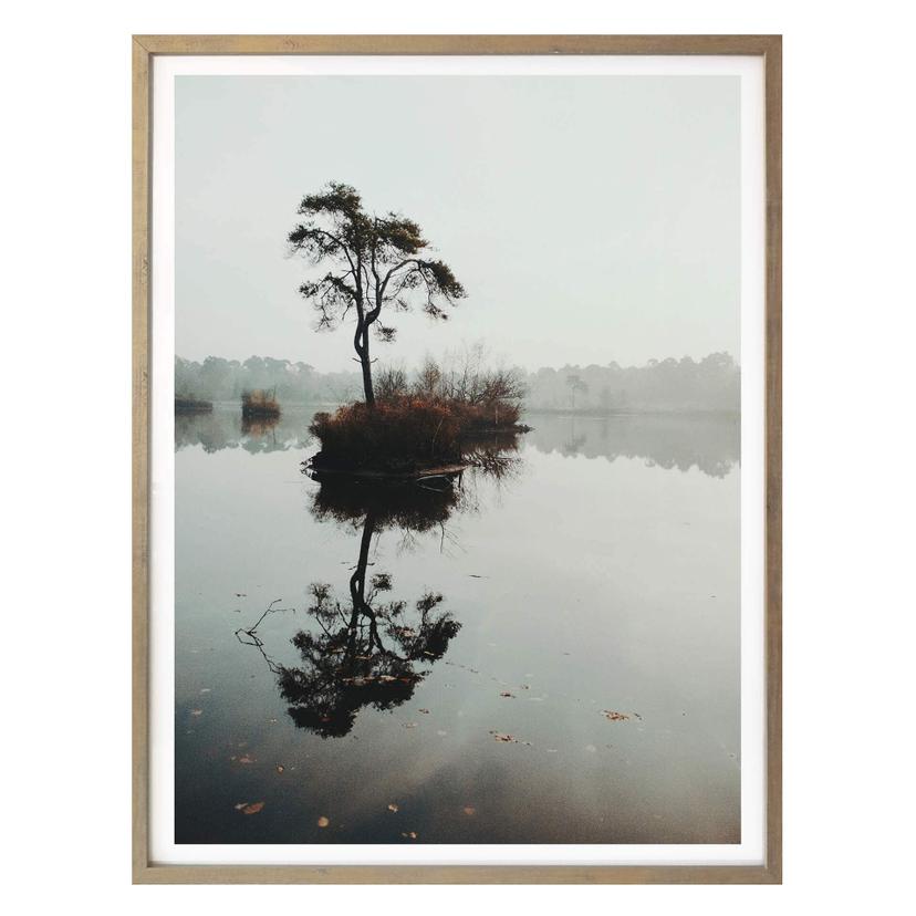 Affiche L'arbre solitaire 02