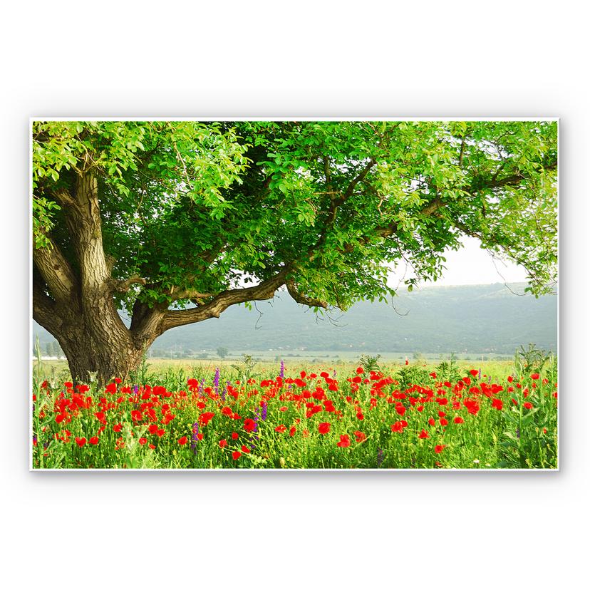 Tableau Forex - L'éveil de l'été