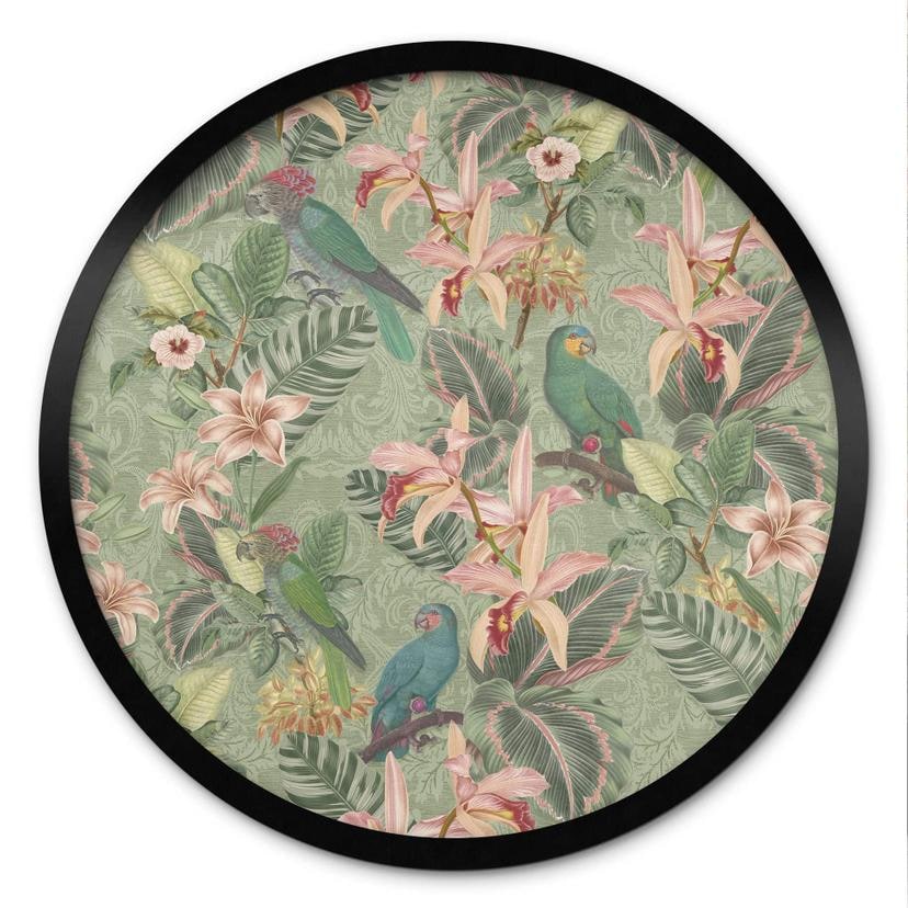 Poster jungle avec perroquets vert - Bloomery Decor - Rond