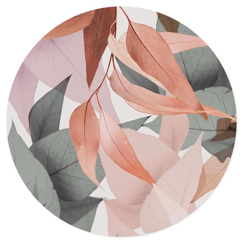 Muursticker Kleurrijke eucalyptusbladeren - Sisi & Seb