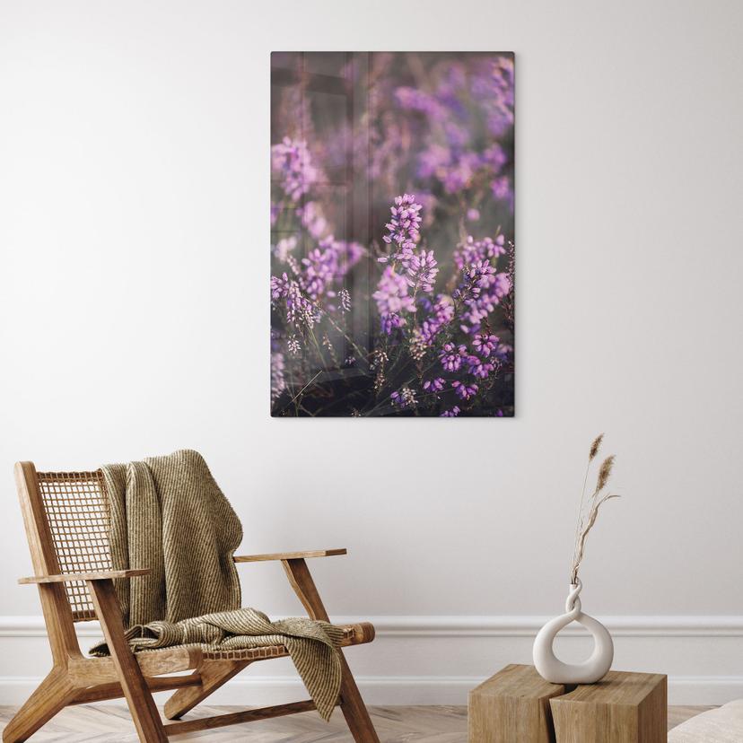 Stampa su vetro Fiore di erica viola in luce calda - Annie