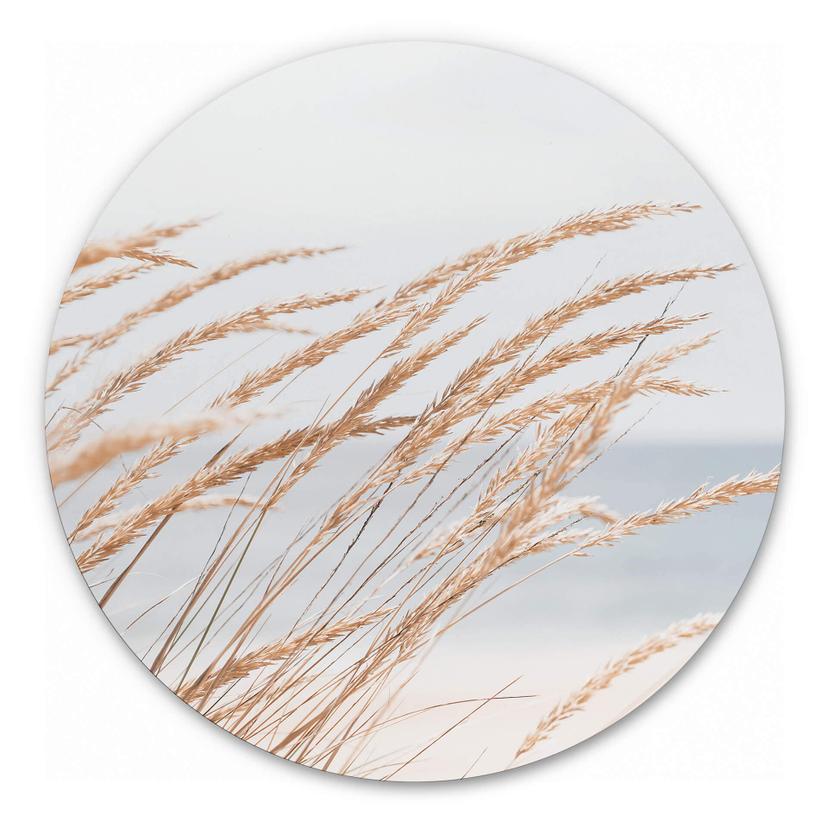 Wandcirkel in de Duinen