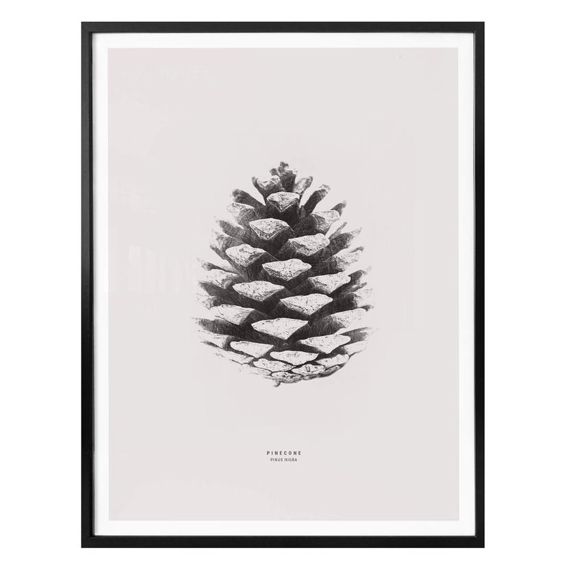 Póster piña