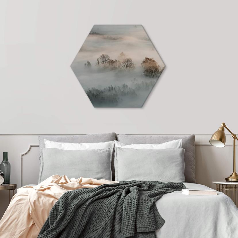 Hexagon Dibond Galimberti - Winter Fog