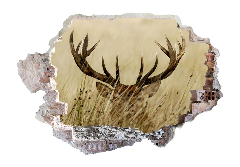 Sticker mural 3D Cerf en alerte