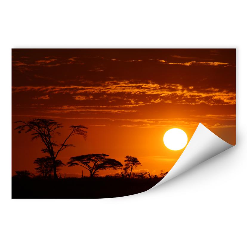 Zelfklevende Poster - Afrikaanse Steppe