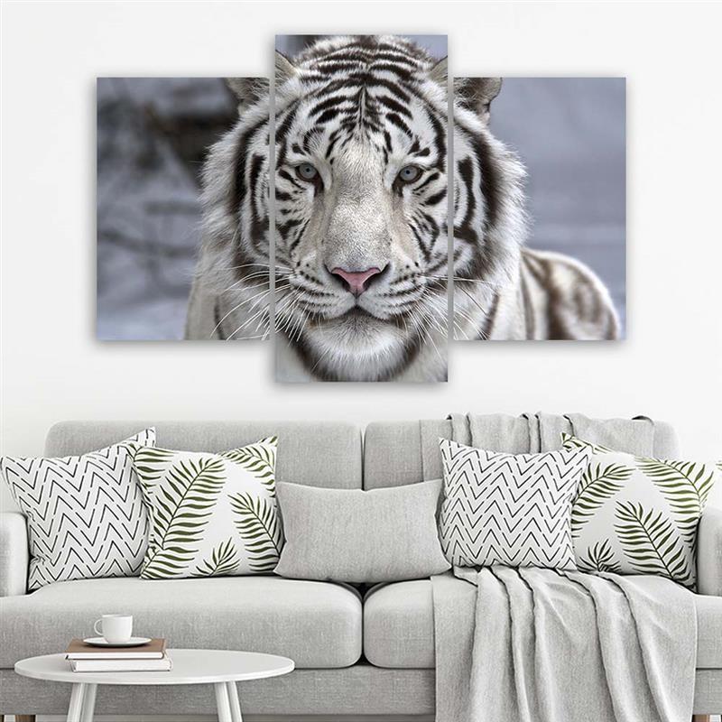 Stampa su tela 3 pezzi Tigre animale selvatico in bianco e nero