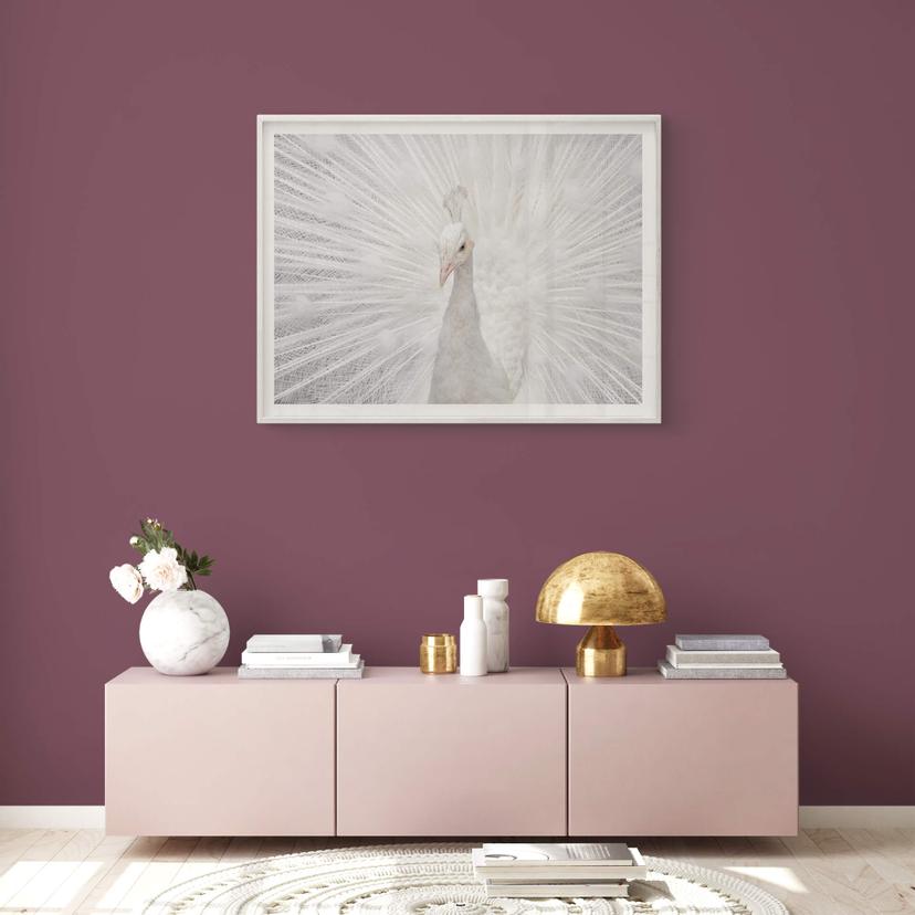 Poster Fegari - Pavone bianco