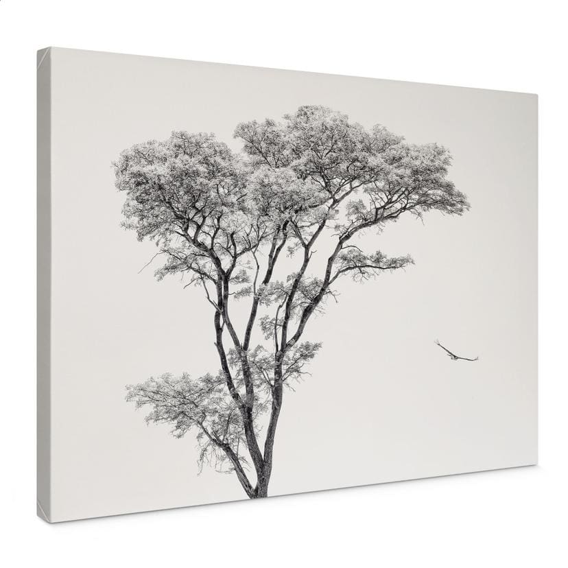 Leinwandbild Minimalistischer Baum in ruhiger Landschaft - Flour