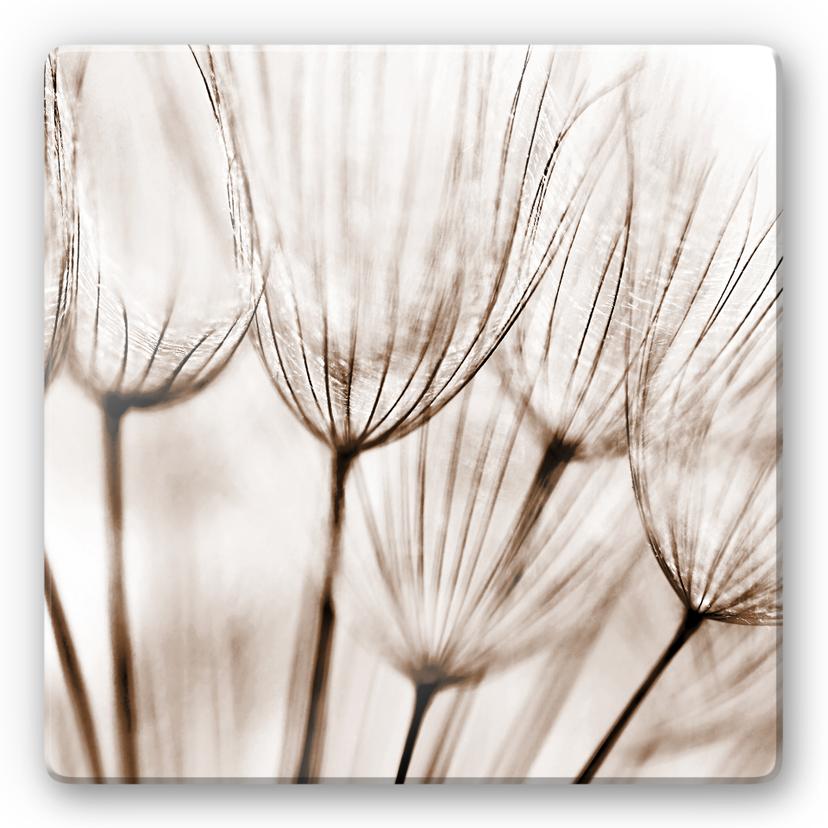Tableau en verre - Fleurs - carré