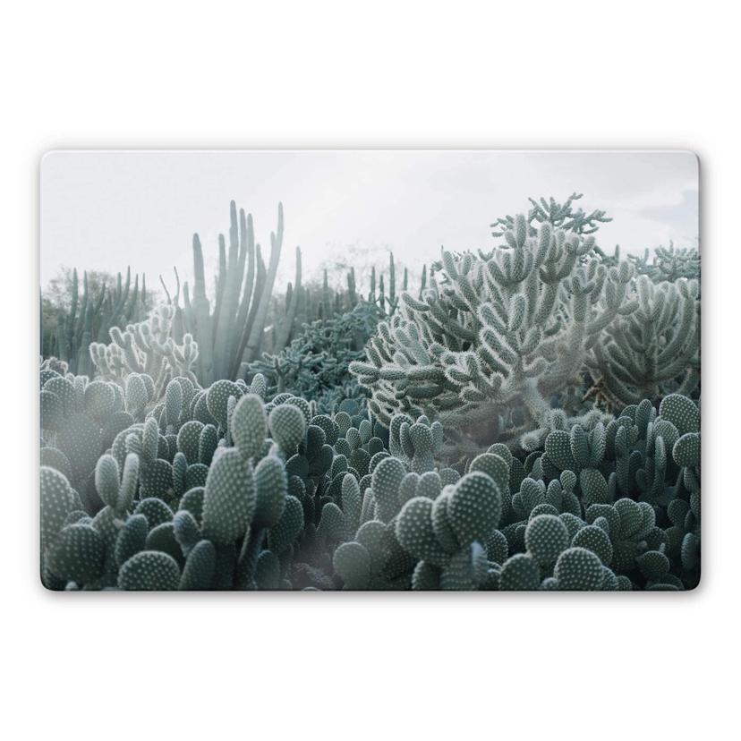 Glasschilderij Cactussen