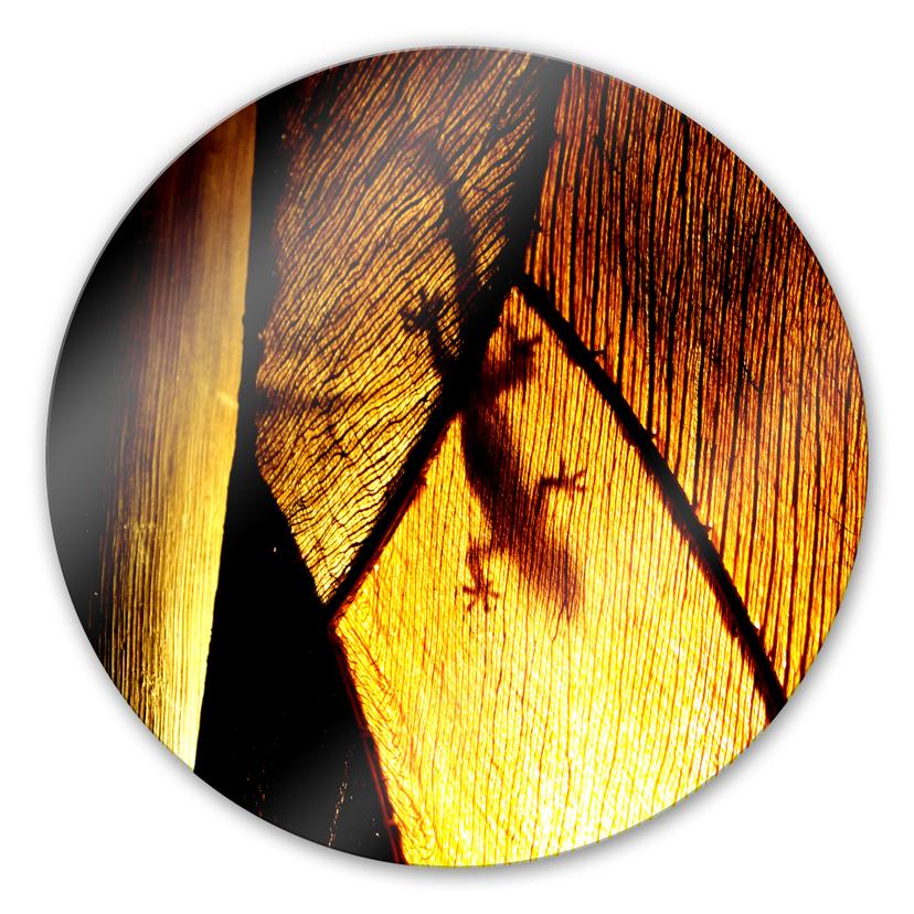 Tableau en verre - Jeu d'ombre - rond