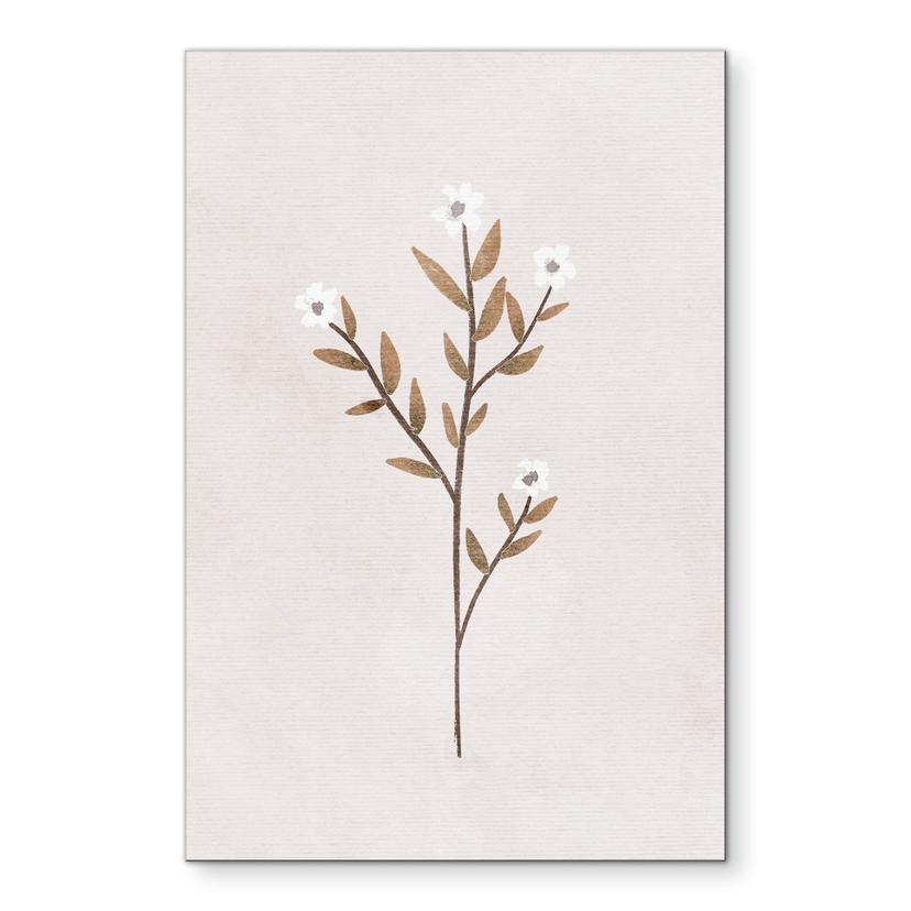 Billede Blomster illustration - Forget-me-not - Goed Blauw – print på aluminium (Alu-Dibond)