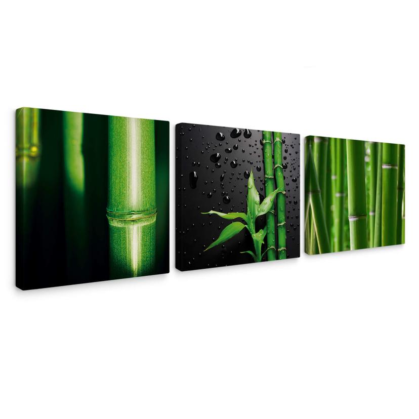 Tableau sur toile - Ensemble bambou - format carré (tryptique)