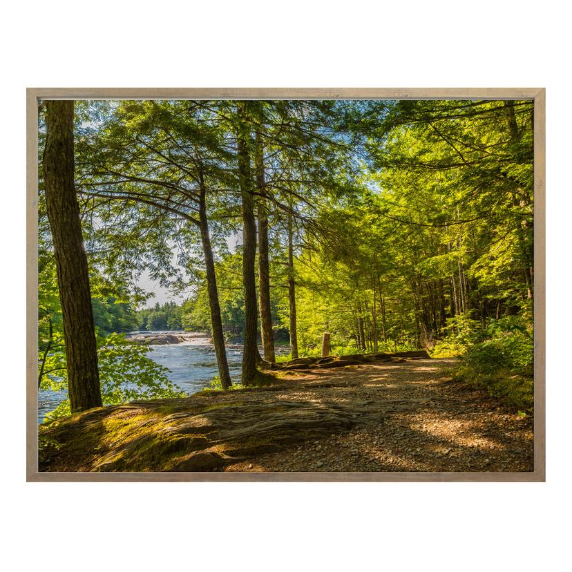 Póster Camino forestal junto al río