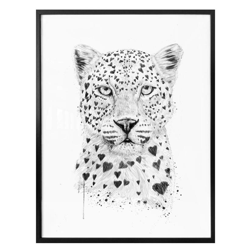 Plakat - Solti - Kærlig leopard