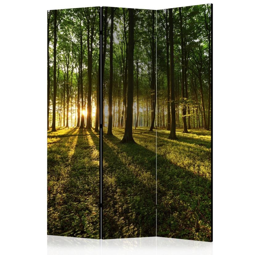 Paravent Séparation de pièce - Matin dans la forêt, 3 pièces