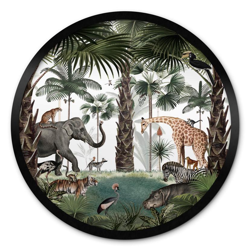 Plakat Kikki Belle - Animal Kingdom
