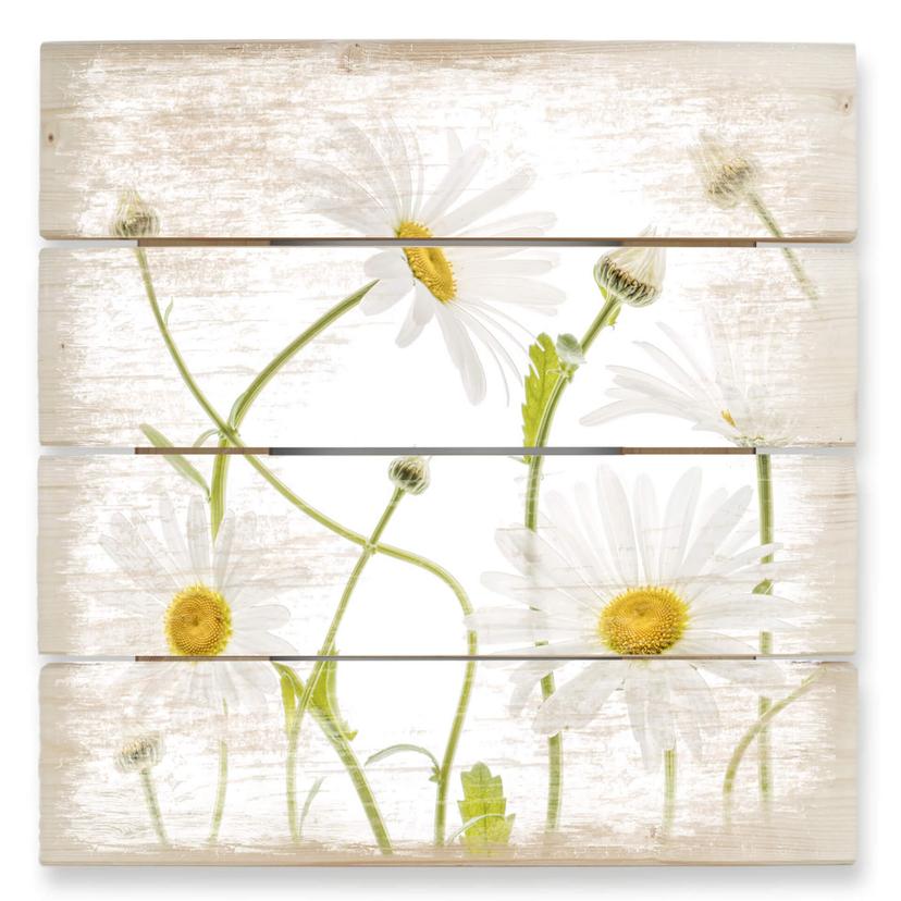 Cuadro de madera Disher - Ojo de buey Margaritas - 40x41,5 cm