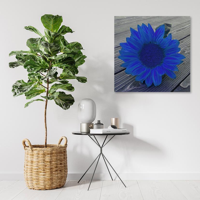 Stampe su tela, girasole blu
