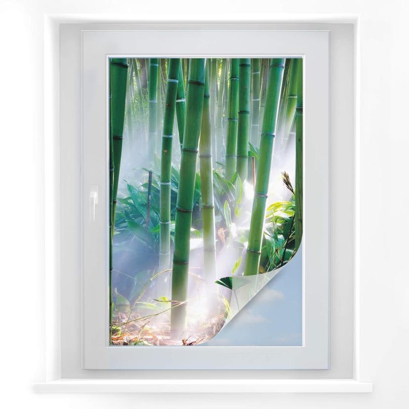Film occultant - Bamboo Forest