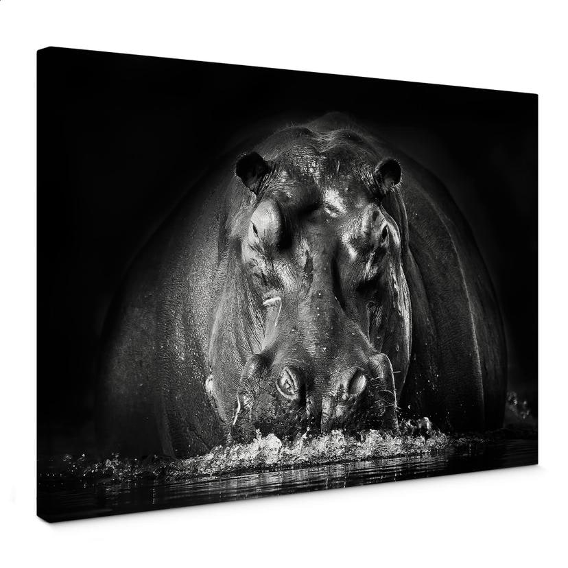 Tableau sur toile Golob - Hippopotame renifleur