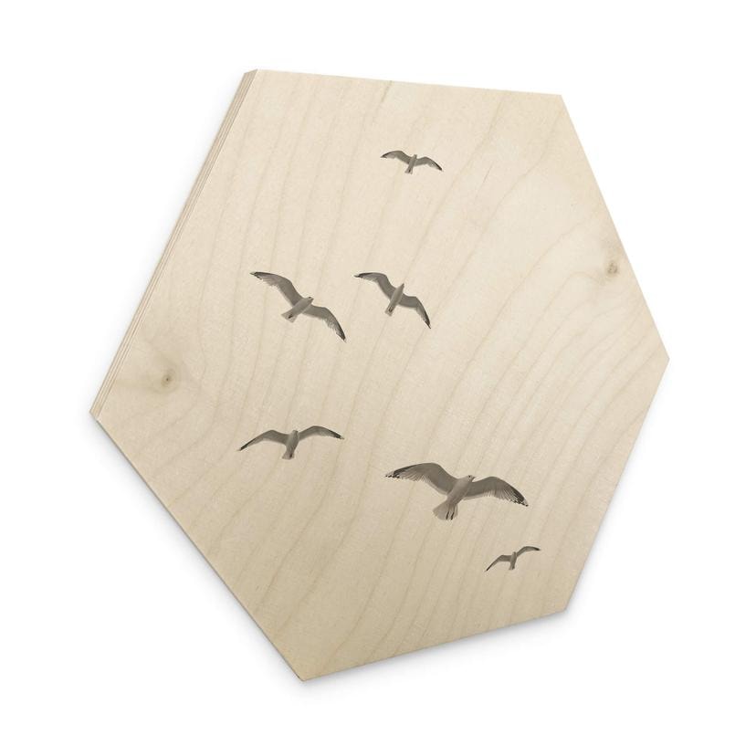 Hexagone - Bois Mouettes dans le ciel