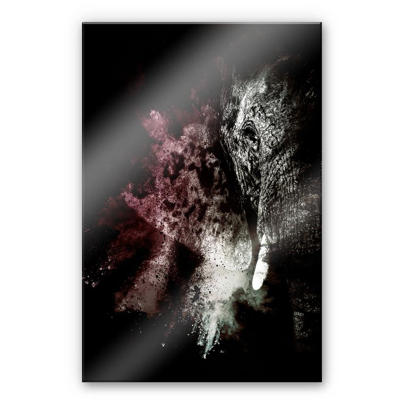Akrylbillede Hugonnard - Wild Explosion: Elephant 02