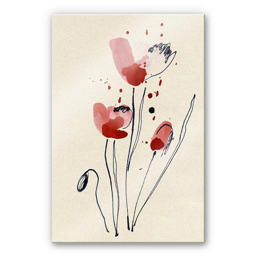 Tableau en verre acrylique Coquelicot illustré