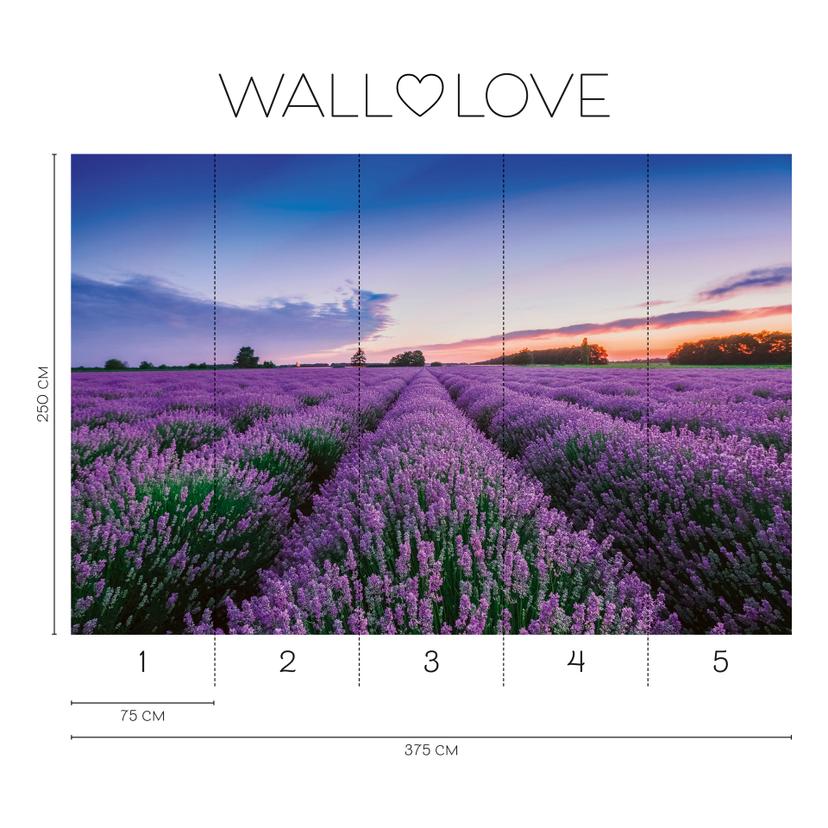 Carta da parati in tessuto non tessuto Fotomurale viola blu - Carta da parati 3,75 m x 2,50 m campo