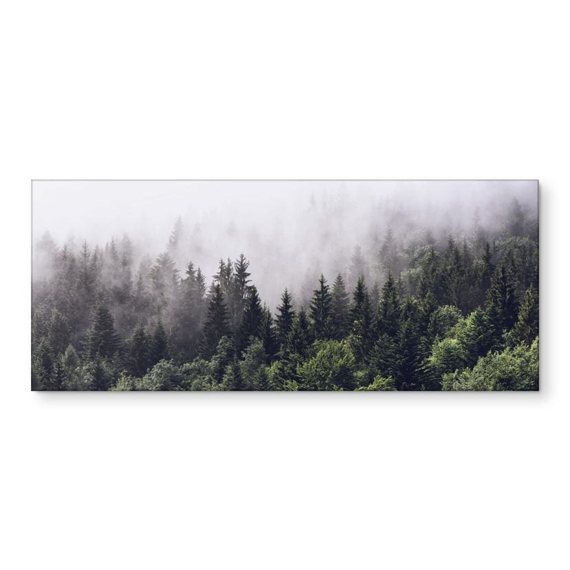Küchenrückwand Nebliger Wald