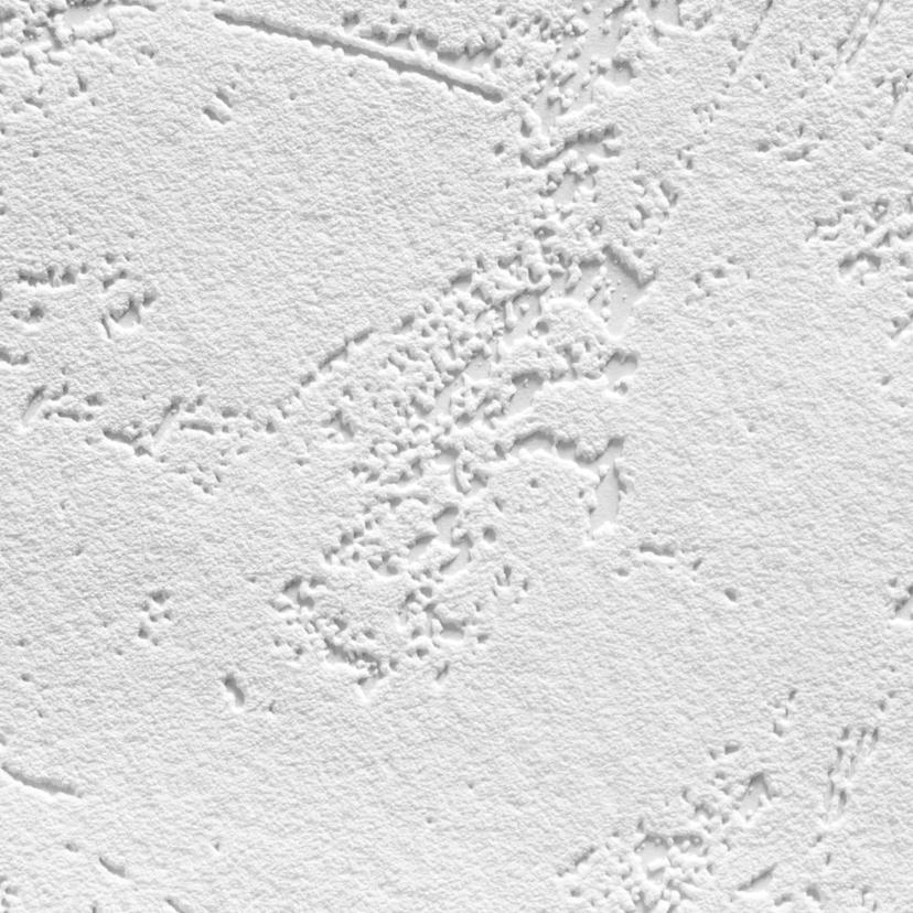 A.S. Création - carta da parati in TNT verniciabile Meistervlies Pro Protect 2 colore bianco