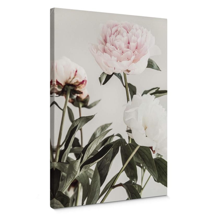 Tableau sur toile 1X Studio - Trois pivoines en fleurs