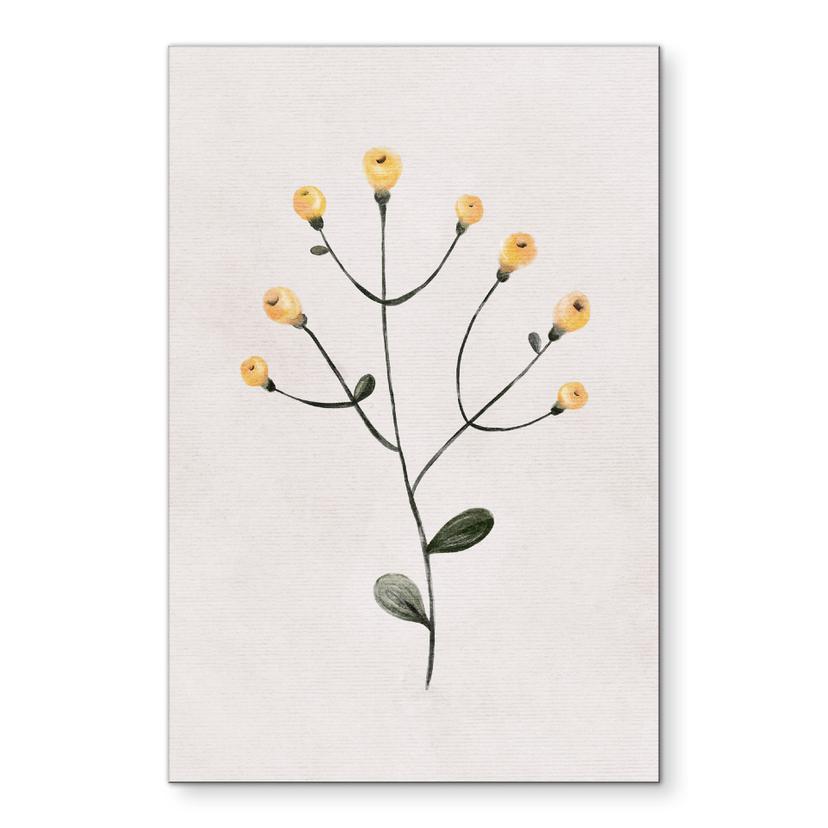 Billede Delikat plante med gule blomster - Goed Blauw – print på aluminium (Alu-Dibond)