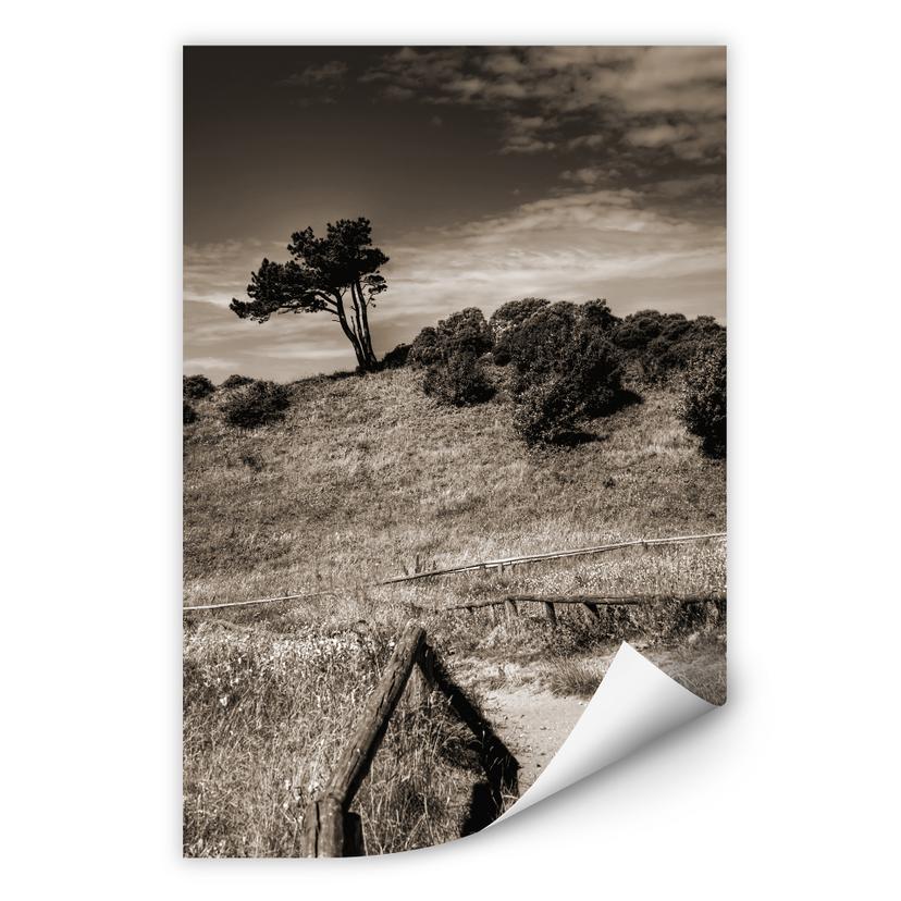 Wallprint W - Landschaft auf Hiddensee