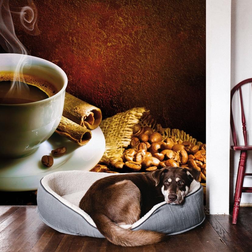 Fototapet Coffee 1 - 288x260 cm