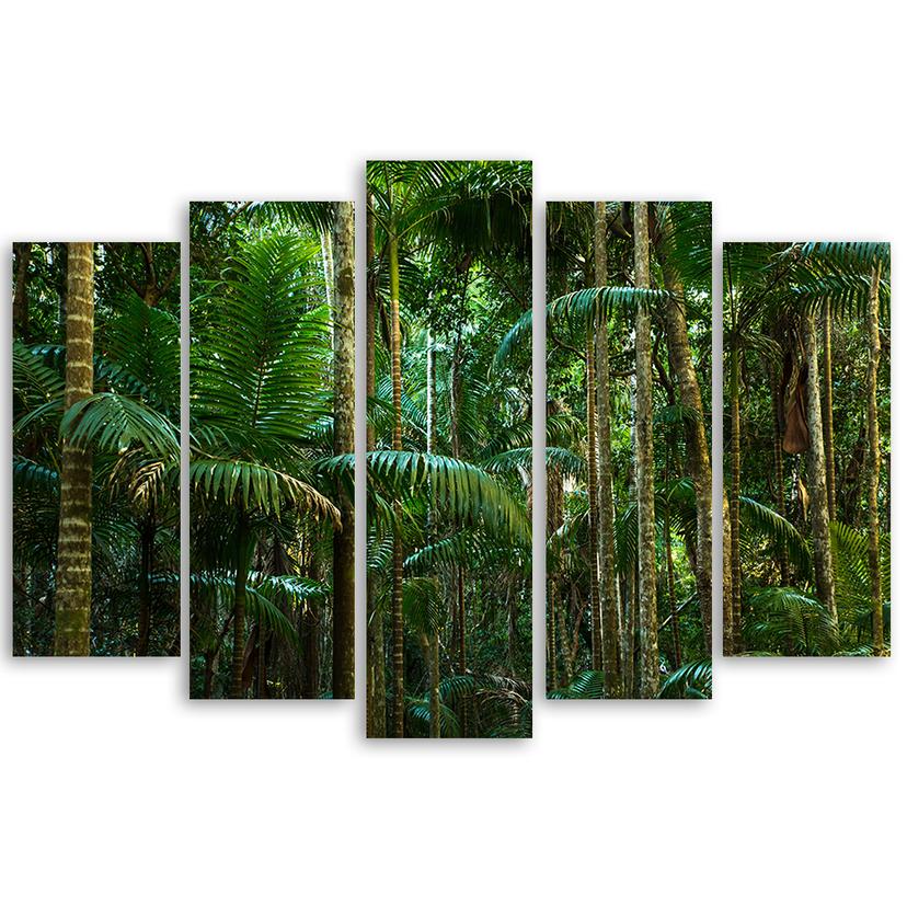 Stampa su tela 5 pezzi, foresta pluviale natura