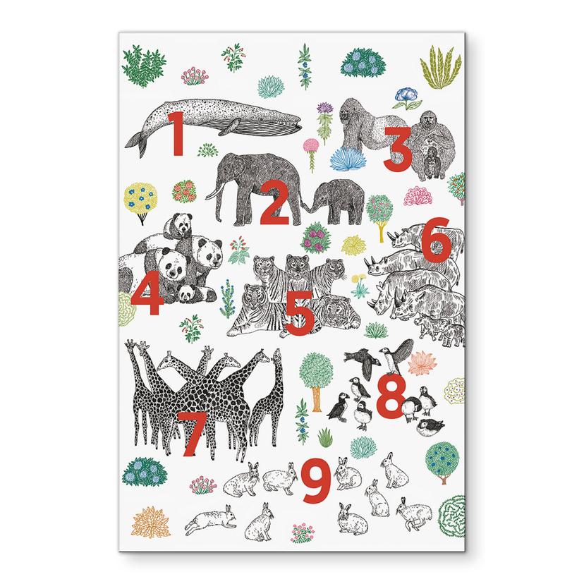 Wandbild Illustration von Zootieren mit Zahlen - Walentynowicz - Alu-Dibond