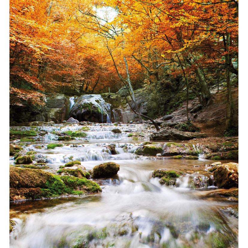 Fotomurale Cascata autunnale