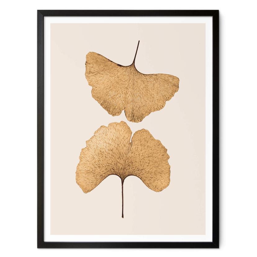 Póster Lenka - Ginkgo