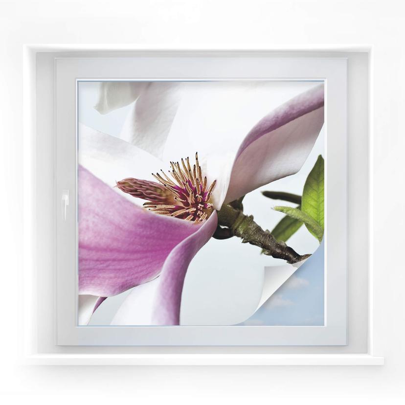 Lámina de privacidad Magnolia - cuadrada