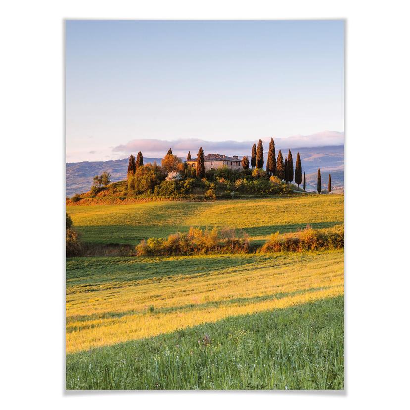 Poster Colombo - Tramonto in Toscana