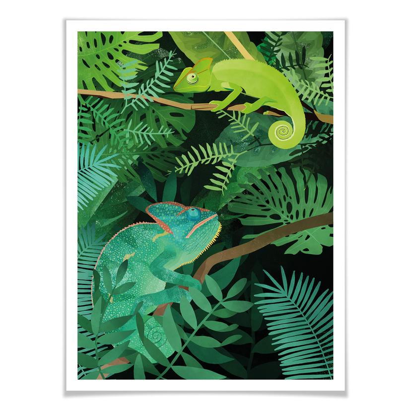 Póster Goed Blauw - Camaleones