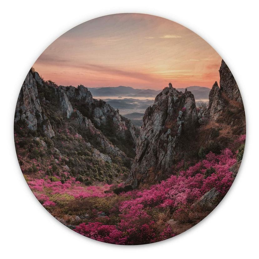 Billede af træ Seo - Klippelandskab ved solnedgang - Rund