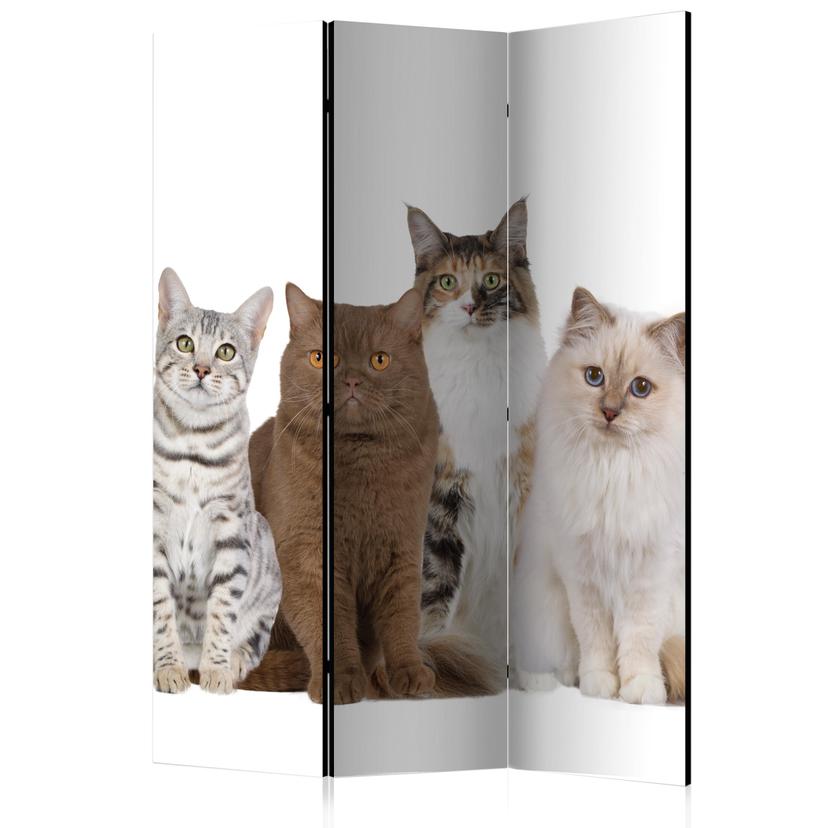 Paravent Séparation de pièce - Doux chats, 3 pièces
