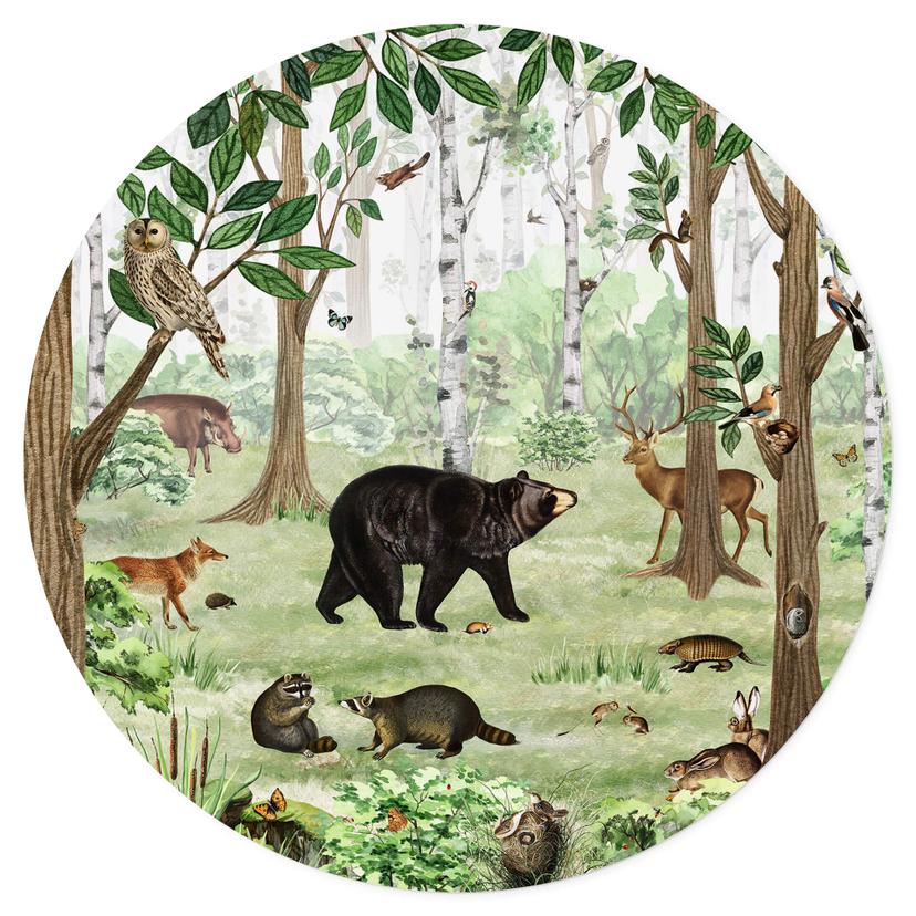 Adesivo murale Kikki Belle - Quadro di ricerca sulla foresta - Rotondo