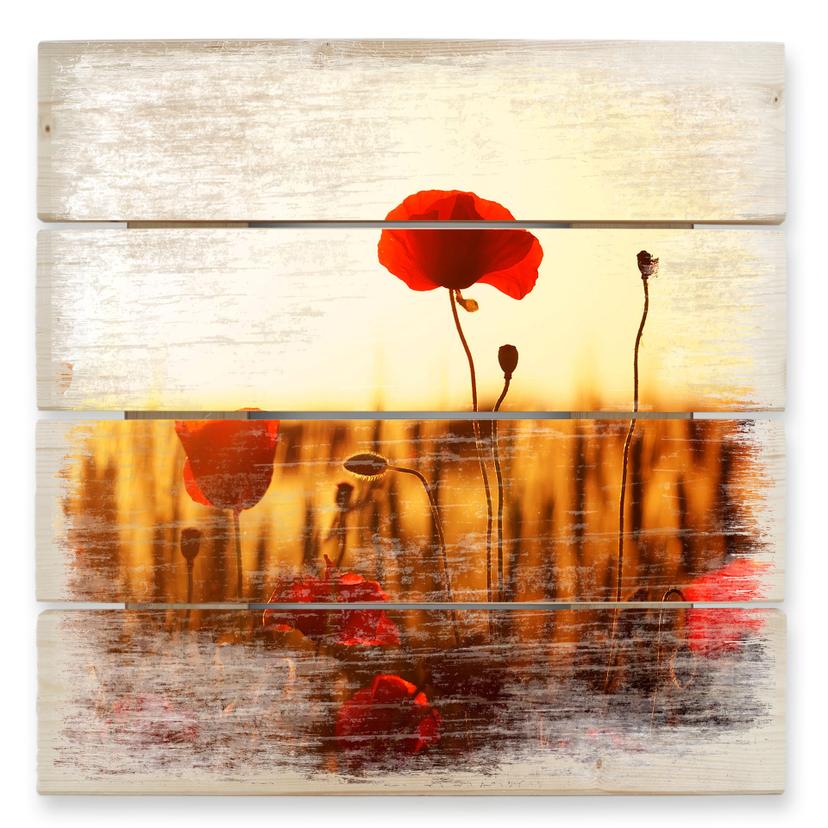 Cuadro de madera diluvio solar en campo de amapolas - 40x41,5 cm