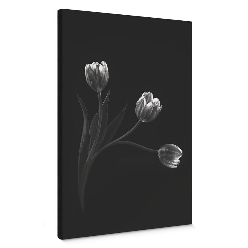 Tableau sur toile Pan - Trio de tulipes